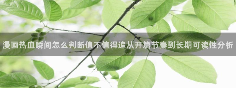 漫漫漫画最新入口