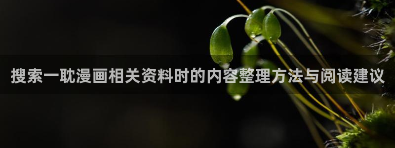 漫漫漫画官网入口